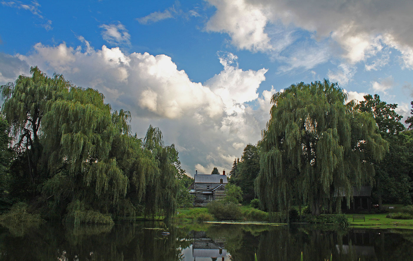 Landscape photo of Thorpewood