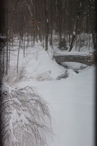 TW snow bridge