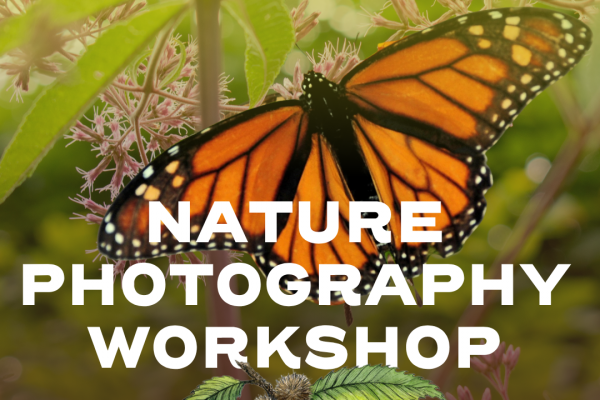 Nature Photography Workshop