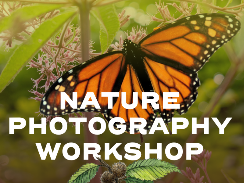 Nature Photography Workshop