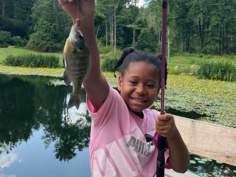 Screenshot 2025-11-14 165430