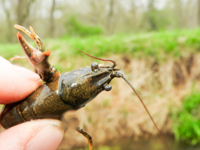 Screenshot 2026-03-27 112008