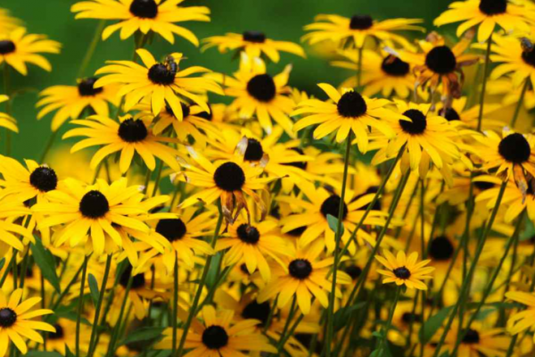 Screenshot 2026-04-21 083728