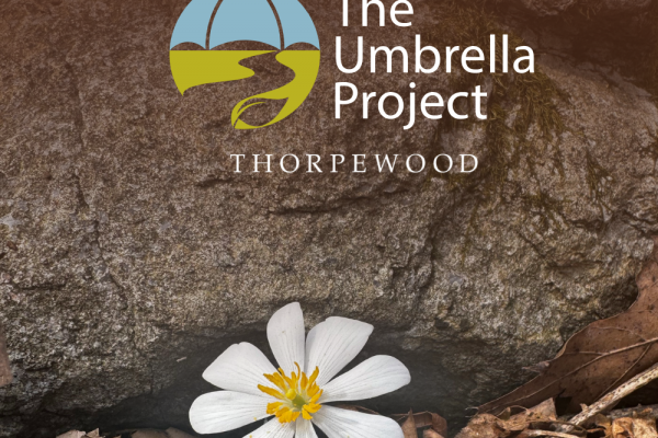 Thorpewood Social Templates