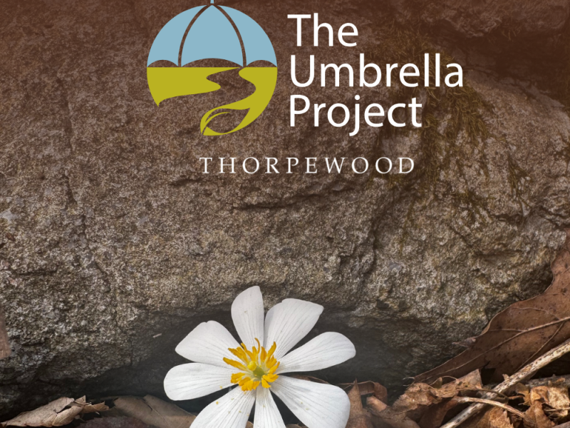 Thorpewood Social Templates